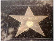 elvisstarhollywoodwalkoffame.jpg